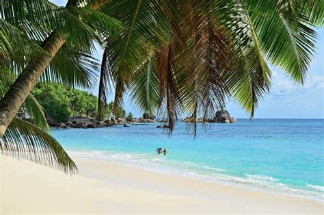 Tropical Beach Seychelles Mahe Stock Image Image Of Ocean Holiday