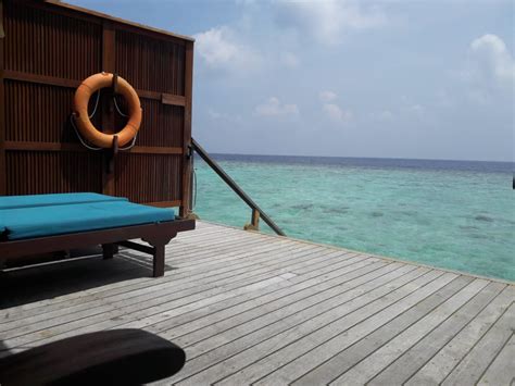 Wasser Bungalow Veligandu Island Resort And Spa Rasdhoo • Holidaycheck Alif Alif Atoll