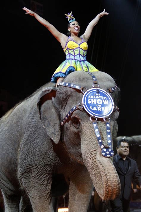 After 145 Years Ringling Bros Circus Elephants Perform For The Last Time Elephant Artwork