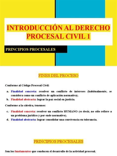 IntroducciÓn Al Derecho Procesal Civil Principios Pdf