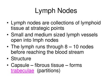 Short Note On Lymph Node Ppt Download
