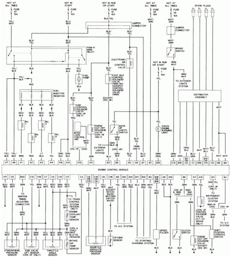 98 Civic Ecu Wiring Diagram