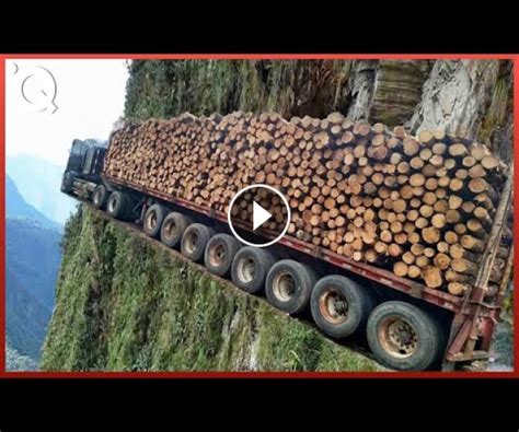 Tractorgallery Net Extreme Tree Cutting Skills With Chainsaw And