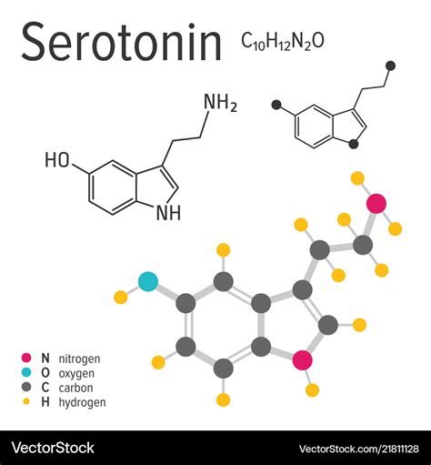 Chemical Formula Of The Serotonin Molecule Vector Image