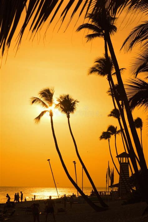 Two Palm Trees Silhouette On Sunset Tropical Beach Stock Photo Image
