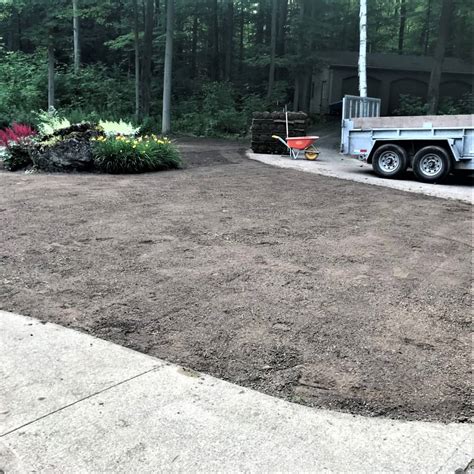 Professional Sod Installation Company Top 5 Reasons To Hire
