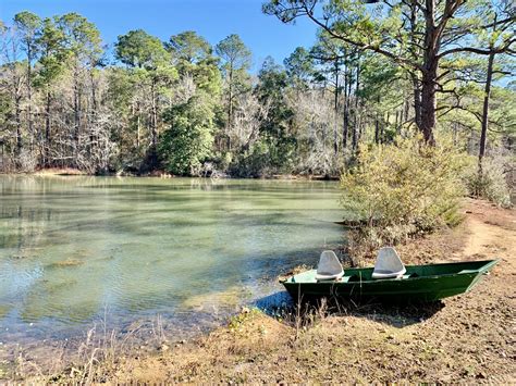 Alabama Land For Sale Pond 12acres South Al Geneva Co