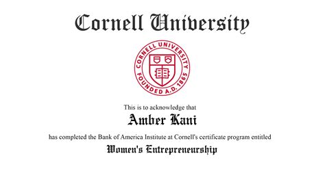 review cornell university women s entrepreneurship certificate program — amber m kani