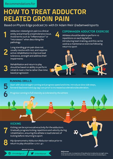 Clinical Edge Infographic How To Treat Adductor Related Groin Pain My