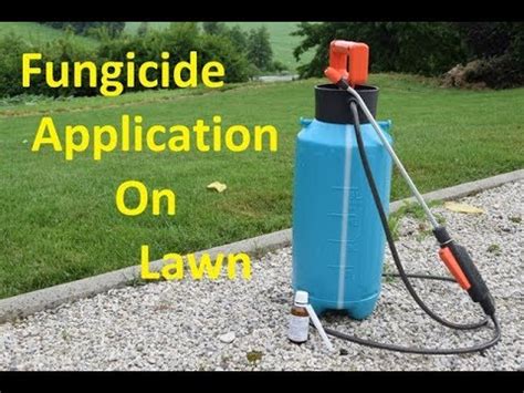 Lawful resident, meaning that they have applied for permanent residence, the application. Fungicide Application on Lawn - YouTube