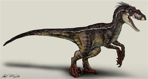 Male Velociraptor From Jurassic Park 3 Dinosaurios Jurassic World