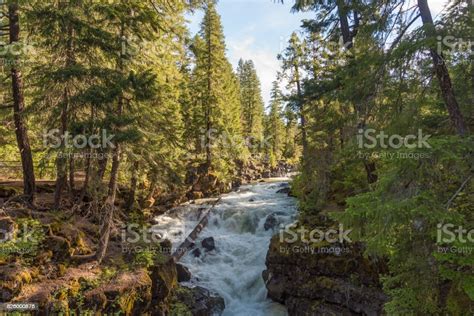 Rogue Riversiskiyou National Forest Stock Photo Download Image Now
