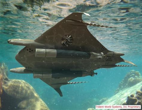 Manta Ray Unmanned Underwater Vehicle