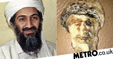 Osama Bin Laden Has Been Reincarnated As A Seashell Metro News
