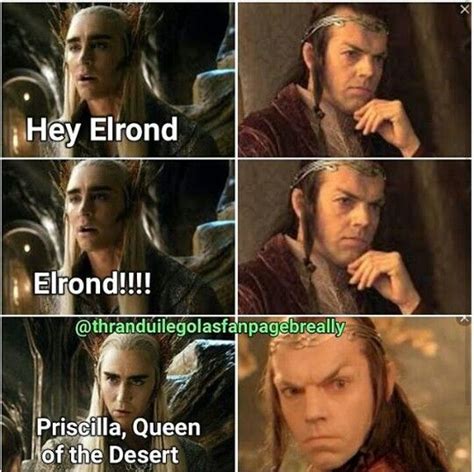 Elrond And Thranduil Hahahah The Hobbit Movies Thranduil Funny