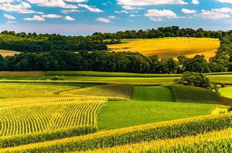 Corn Fields And Rolling Hills In Rural York County Pennsylvania Stock