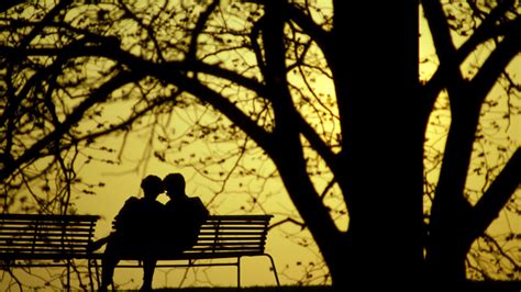 Photography Couple Love Tree Silhouette Romance Bench Park