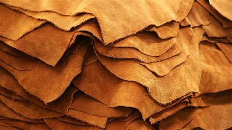 Leather Textile Exchange
