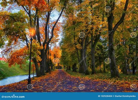 Autumn In Evening Park Scenery Autumn Background Colorful Fall Vivid