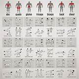 Photos of Fitness Exercises Chart