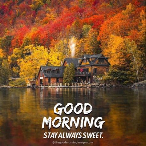 Beautiful Good Morning Fall Images Pictures And Photos 2021 Good