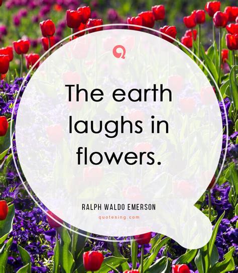 By merely looking at them, you feel joy and love, no wonder lovers offer flowers to their partners to show their sincere and pure love and poets composes amazing quotes about flowers. 50 beautiful flower quotes pictures - Quotesing