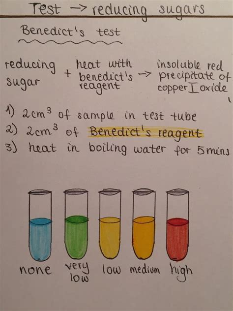 Benedicts Test For Reducing Sugars Diagram Study Biology Teaching