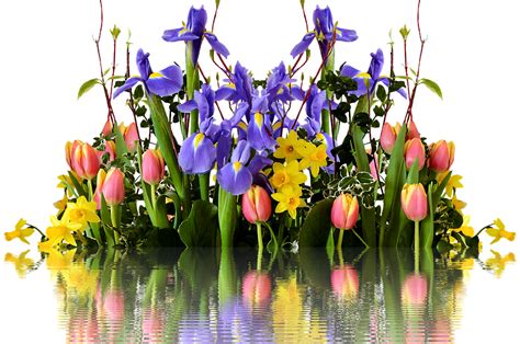 Spring Clipart Transparent Background Clipart Pic Of Flowers Png Images