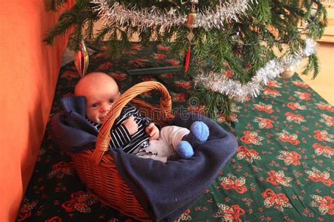 Newborn Baby Boy In Basket By Christmas Tree Stock Image Image Of