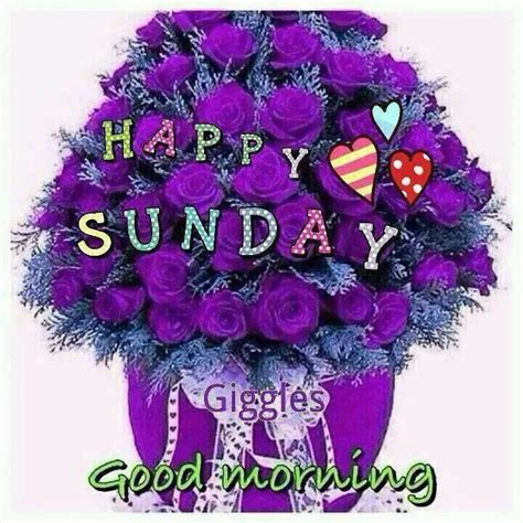Happy Sunday Good Morning Purple Roses Pictures Photos And Images For