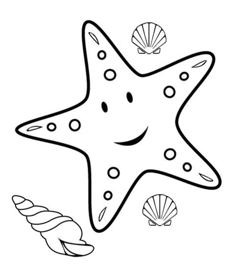 Free printable starfish coloring pages for kids. Starfish And Three Shell Coloring Page : Kids Play Color