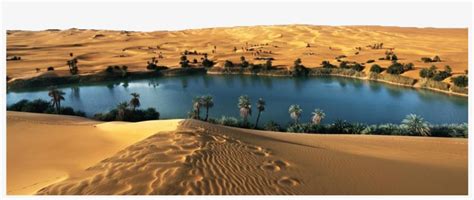Desert Png Transparent Images Oasis In Thar Desert Transparent Png
