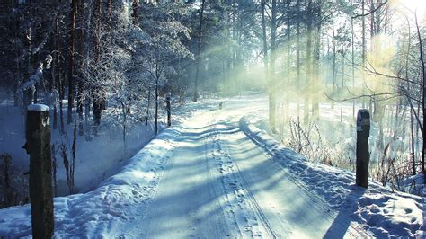 白雪覆盖的林间小路 冬天雪景桌面壁纸高清大图预览1920x1080风景壁纸下载墨鱼部落格