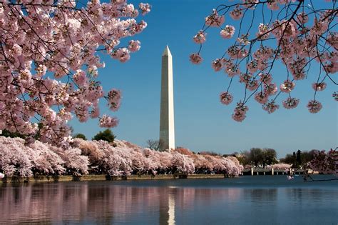 Your Ultimate Guide To Washington Dc Places Beautiful Places