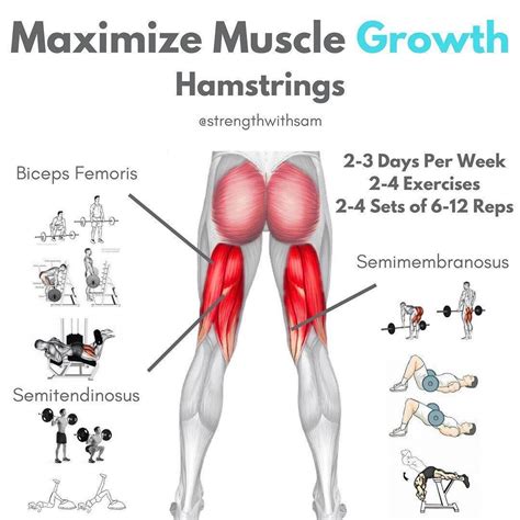 Hamstrings Workout Improve Hamstring Strength And Definition
