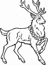 Reindeer Color School sketch template