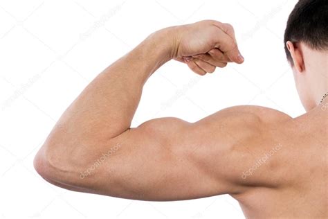 Flexing Biceps Isolated On White Stock Photo By ©laures 19261865
