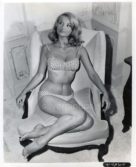 Orig 1963 Barbara Bouchet In Gingham Bikini Debut Pin Up Portrait “move Over Darling