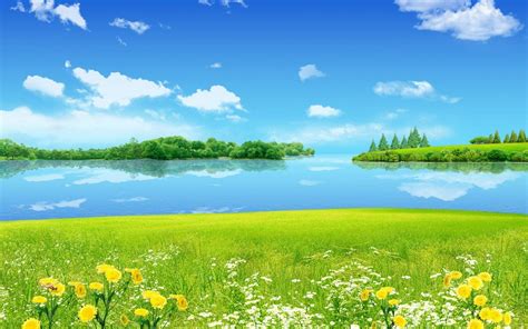 Sunny 4k Wallpapers Top Free Sunny 4k Backgrounds Wallpaperaccess