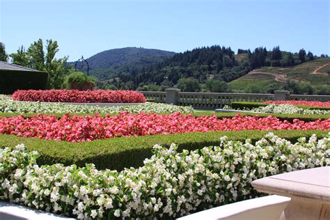 Use them in commercial designs under lifetime, perpetual & worldwide rights. Gardens of Ferrari-Carano Winery | Garden inspired, Garden, Landscape