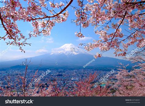 Mt Fuji Cherry Blossom Japan Spring Stock Photo 407548351