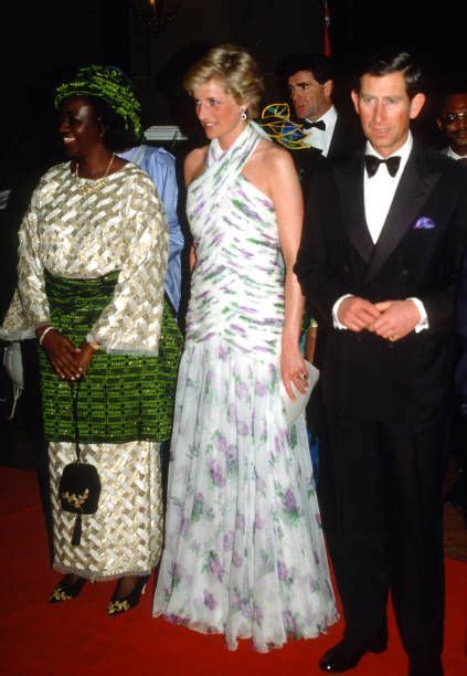 Princess Diana Attends A State Banquet On March 15 1990 In Lagos Nigeria Famousfix
