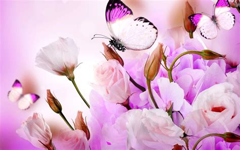 Butterflies And Flowers Wallpapers Wallpaper Cave
