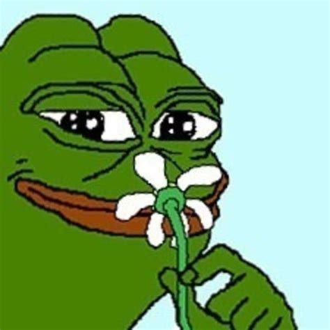 Pepe Flower Smug Frog Know Your Meme