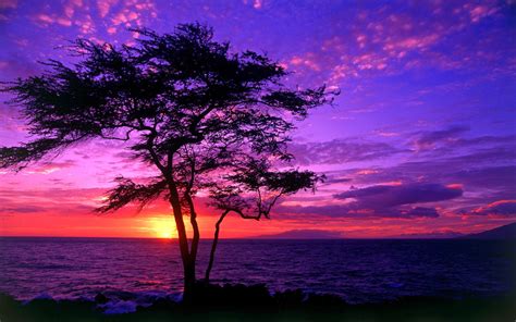 36 Purple Sunset Desktop Wallpaper