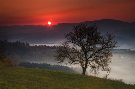 Free Images Landscape Tree Nature Horizon Mountain Light Cloud