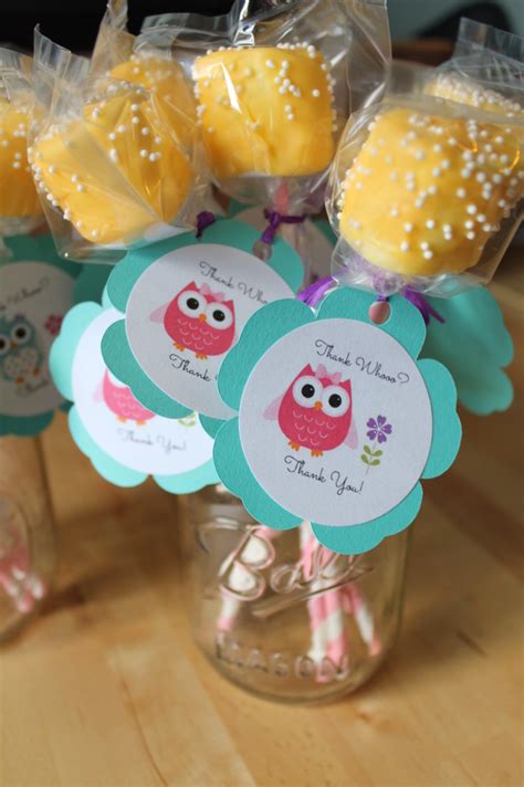 Only 2 available and it's in 9 people's carts. Zoe's Twooo! Owl Themed Party - Project Nursery