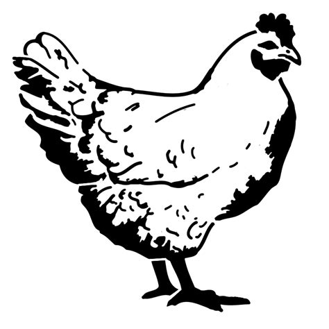 Roost is a mod by timrwood. Chicken Stencil | SP Stencils