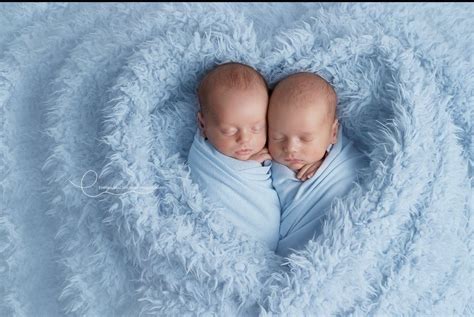 Twin Newborn Photoshoot Ideas Ideasqb
