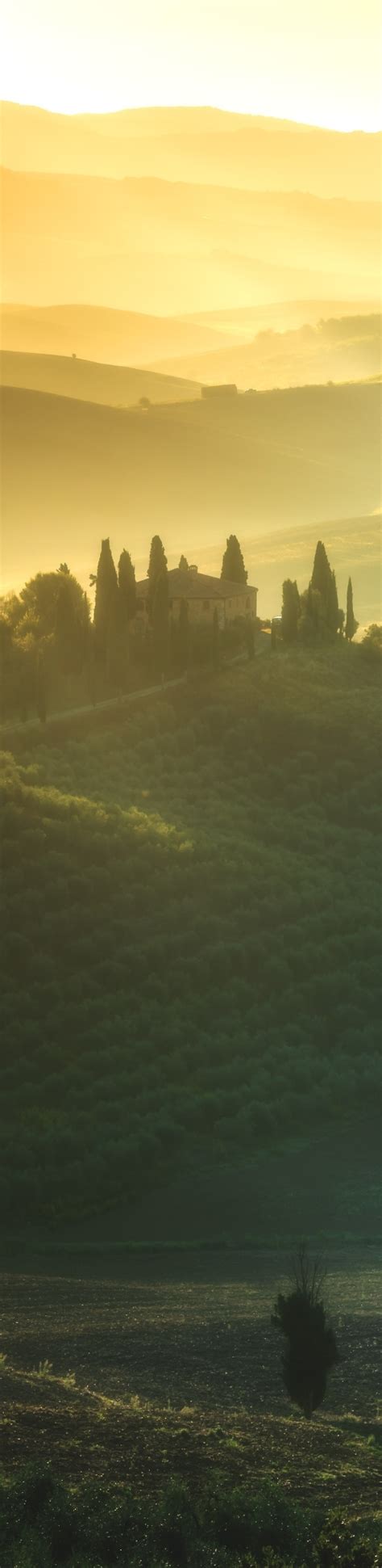 500x2048 Resolution Photography Tuscany 4k Italy Landscape 500x2048